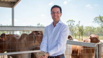QAAFI and UQ Calf Alive project lead Associate Professor Luis Prada e Silva said the results were extremely promising. Picture: Supplied